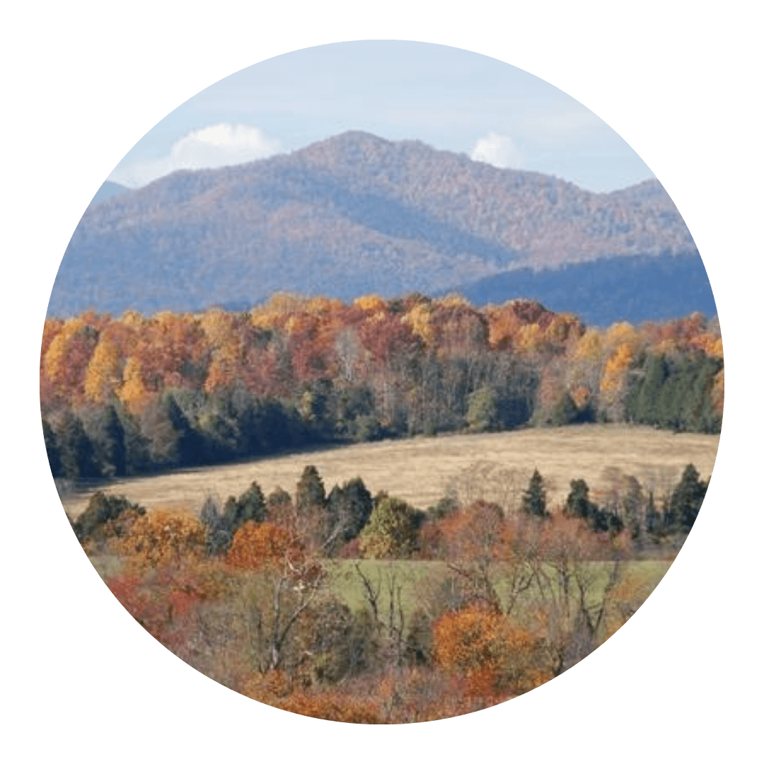 Lynchburg counseling office